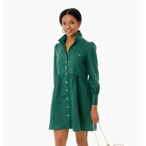 NEW Tuckernuck Green Shirt Dress xs